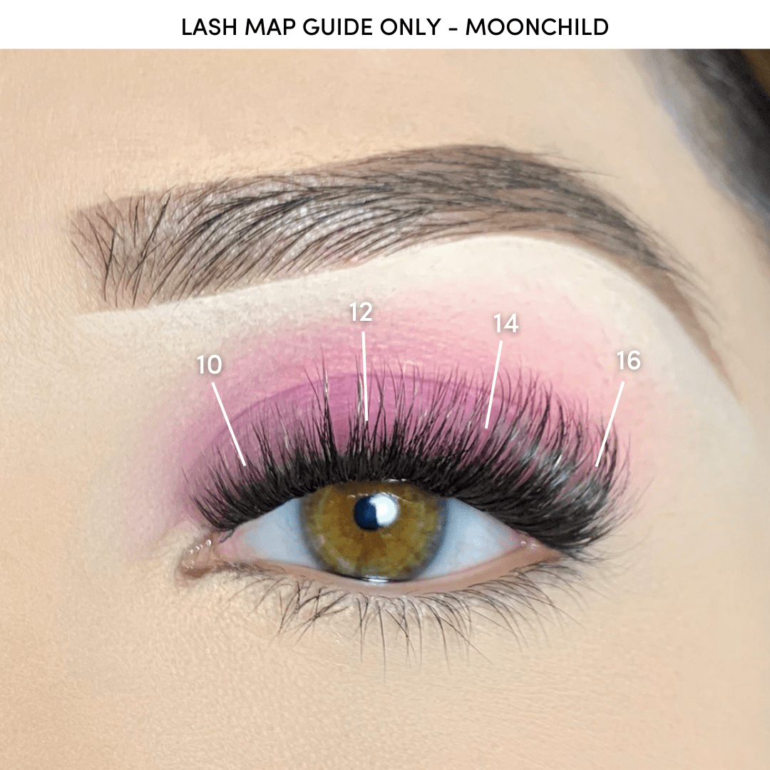 Moonchild Multi - pack - GloMode