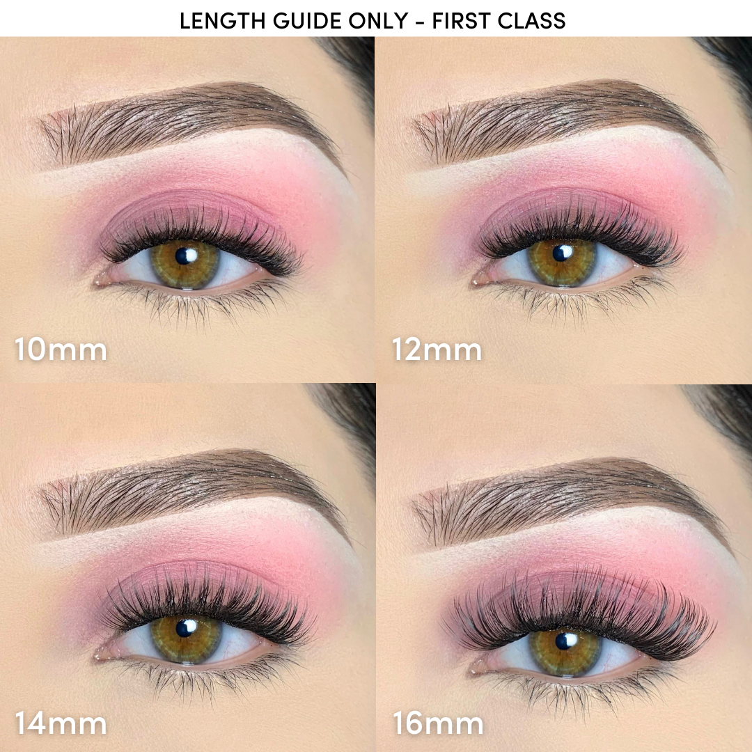 Pink Purée First Class - GloMode