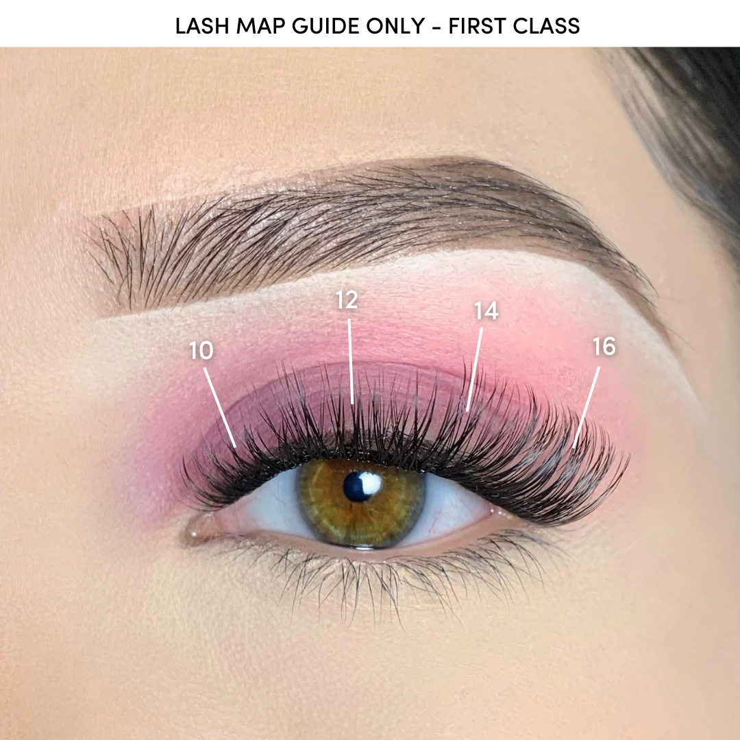 Pink Purée First Class - GloMode